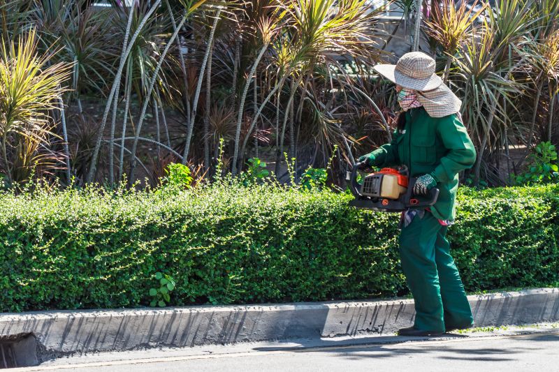 Seasonal Shrub Care