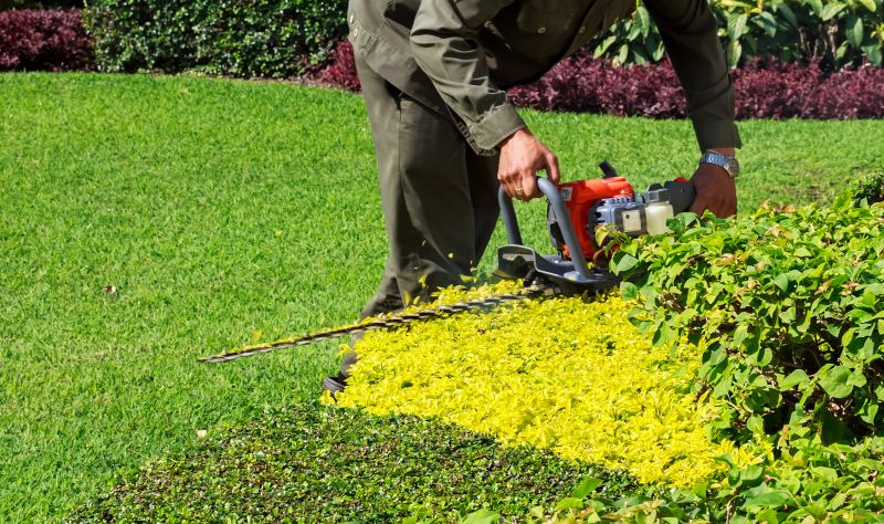 Seasonal Shrub Maintenance