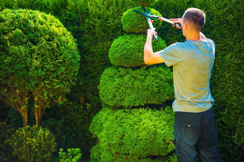 Summer Pruning