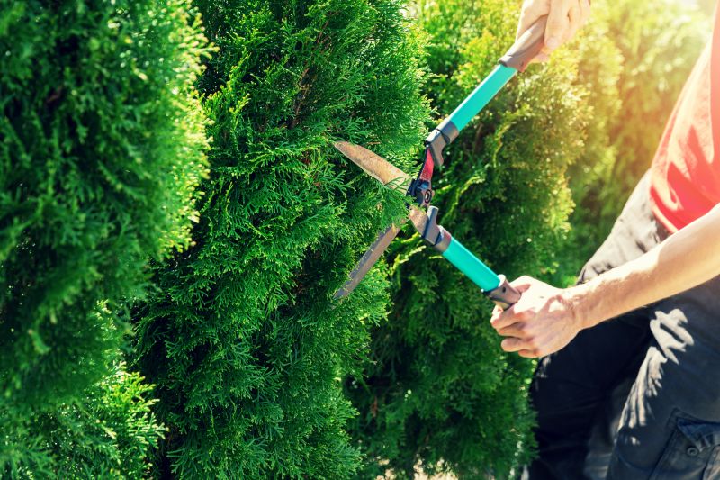 Expert Pruning Tools