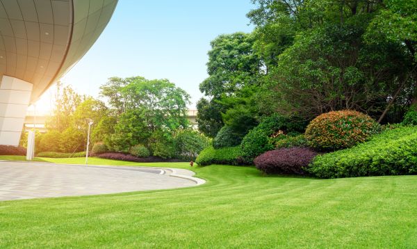 Commercial Shrub Trimming in Ankeny