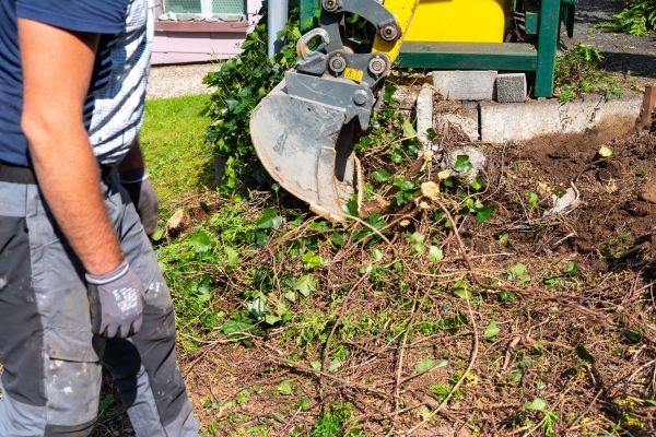 Hedge Removal Service in Ankeny
