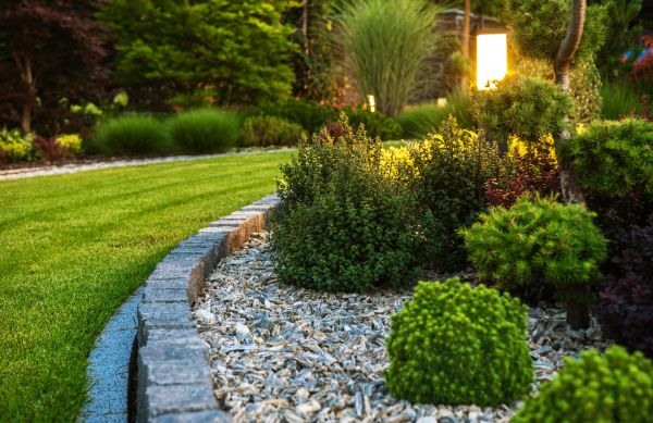Bush Relocation in Ankeny