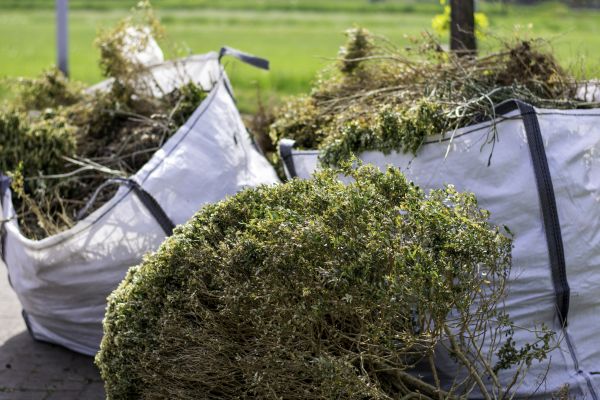 Shrubs Removal in Ankeny