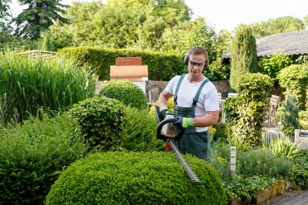Shrubs Trimming in Ankeny